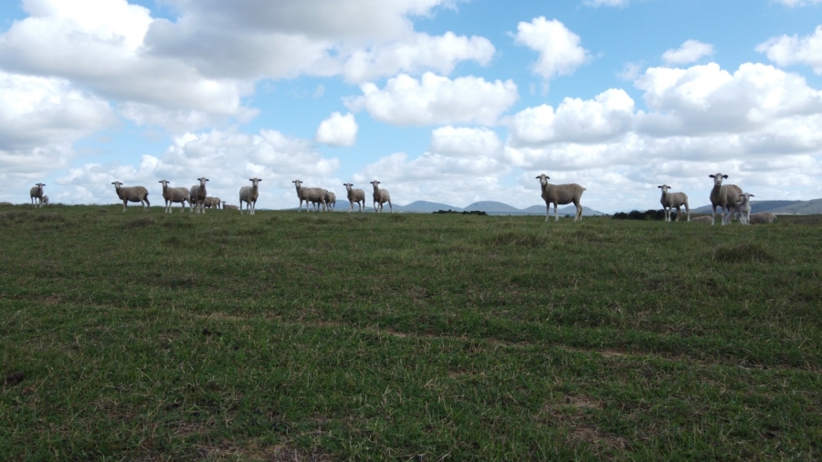 Commercial Property for Sale in Mossel Bay Rural Western Cape